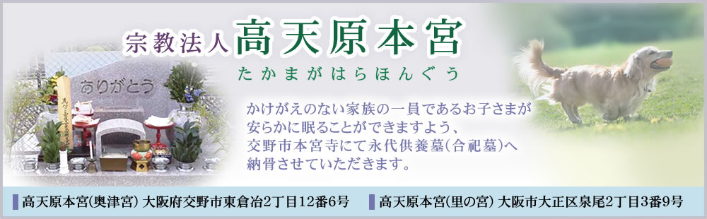 宗教法人高天原本宮